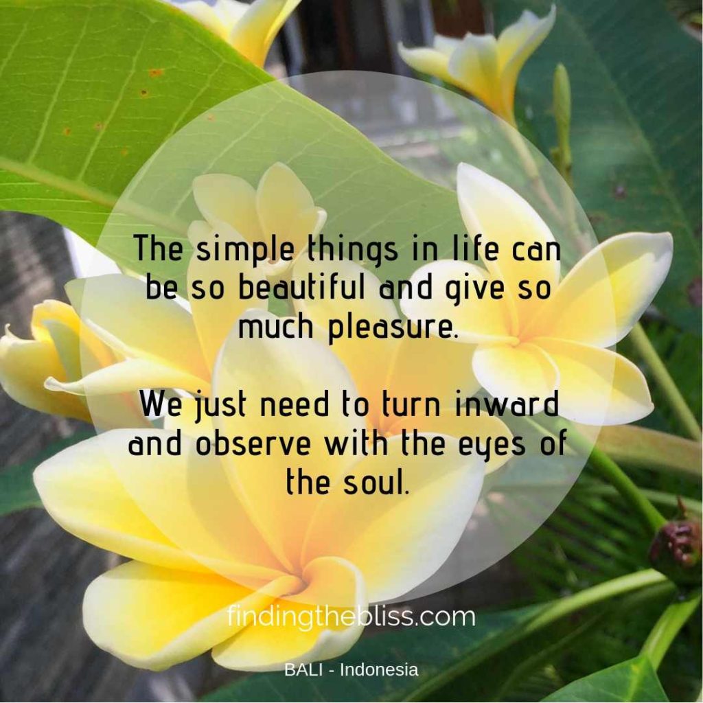 The Simple things in Life (Daily Inspiration)