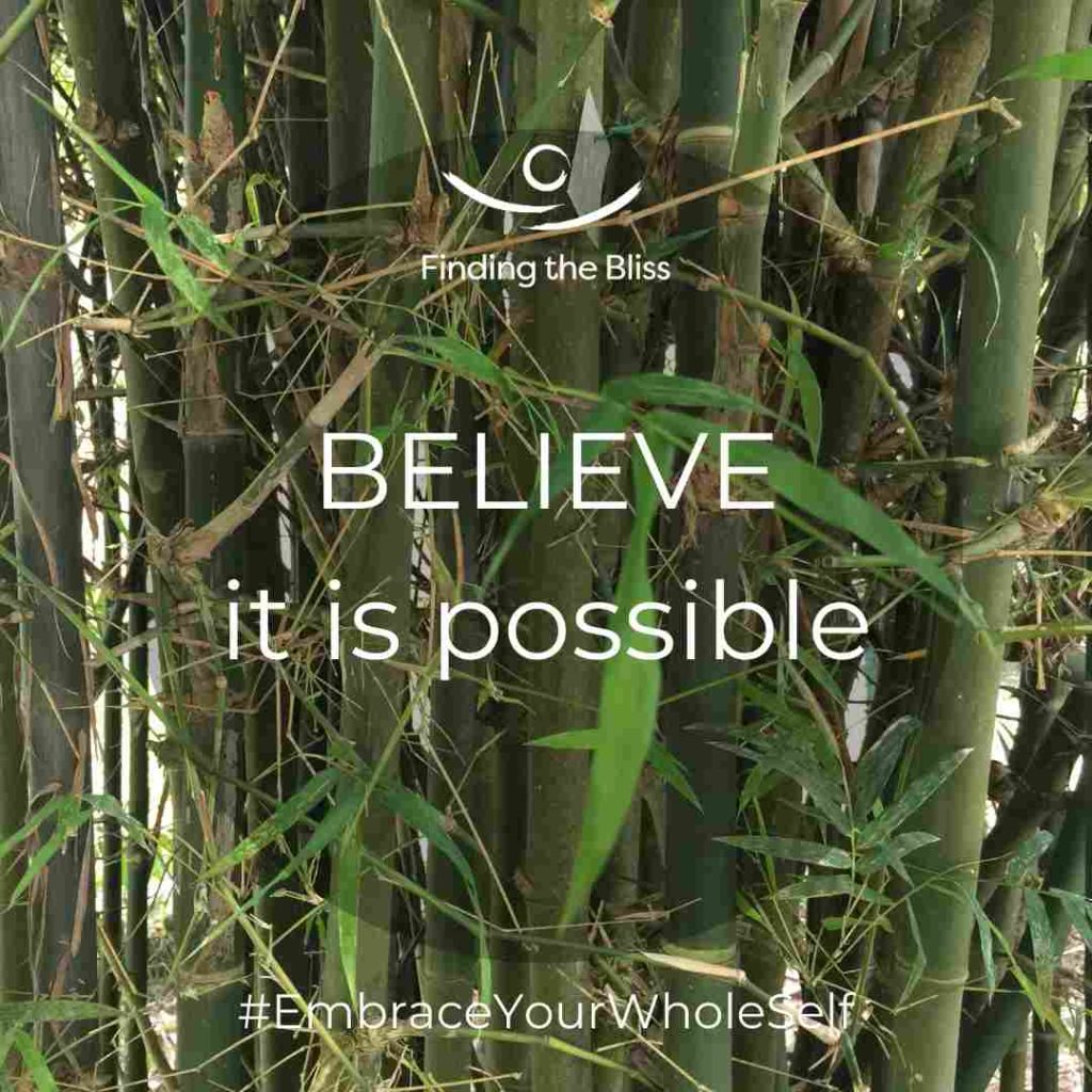 Believe it is possible