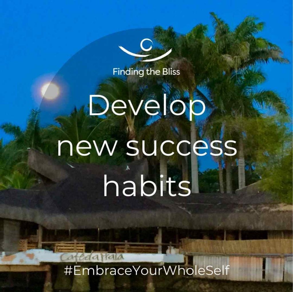 Develop new success habits